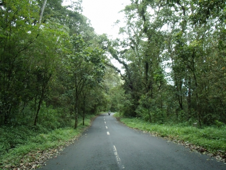 Jalan penghubung Desa Sendi dengan Kota Batu, melalui kawasan hutan wilayah pengelolaan KPH Pasuruan.