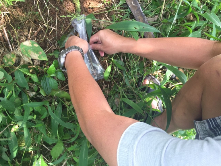 masukan akar yg sudah di potong kedalam plastik yang sudah di isi air + Biotetes