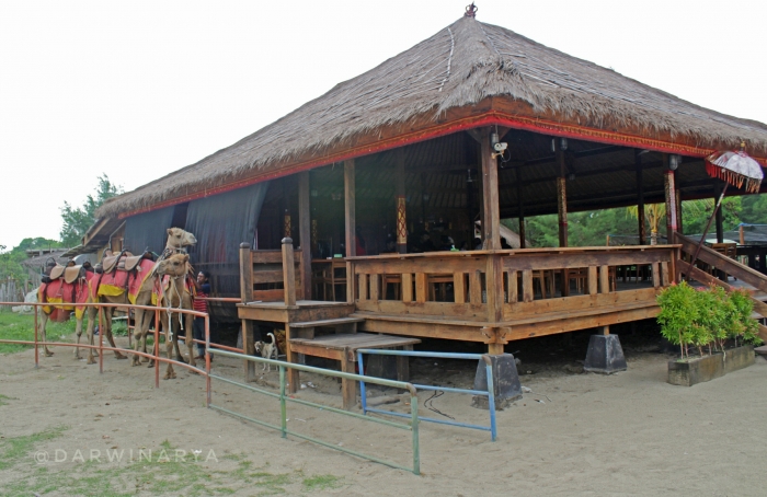 Dream Island Wisata Baru di Pantai Mertasari oleh Darwin Dream Island Wisata Baru di Pantai Mertasari oleh Darwin