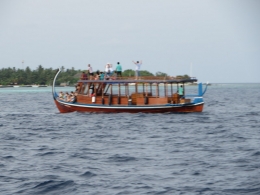 kapal tradisional u/ melihat hunting dolphin (disewakan)