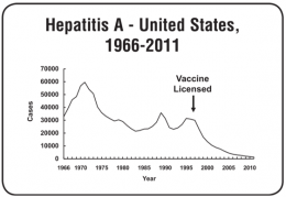 Grafik penurunan kasus Hepatitis A di Amerika Serikat, tahun 1966-2011. Source : Center of Disease Control and Prevention. Epidemiology And Prevention of Vaccine-Preventable Disease. Edisi 13. April 2015. 