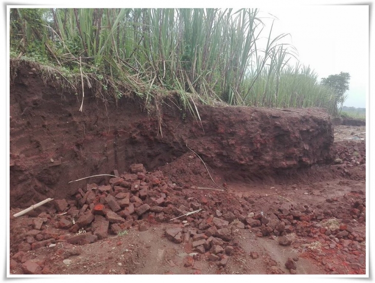 Struktur yang tersisa (Foto: Yogi Mahadev)