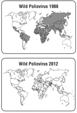Peta persebaran virus polip bebas secara global tahun 1988 dan tahun 2012. Source : Center for Disease Control and Prevention. Epidemiology and Prevention of Vaccine-Preventable Disease. Edisi 13. April 2015