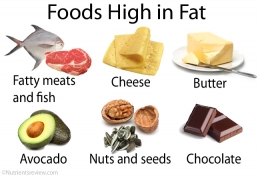 Jenis makanan yang mengandung lemak tinggi. Sumber: http: www.nutrientsreview.com