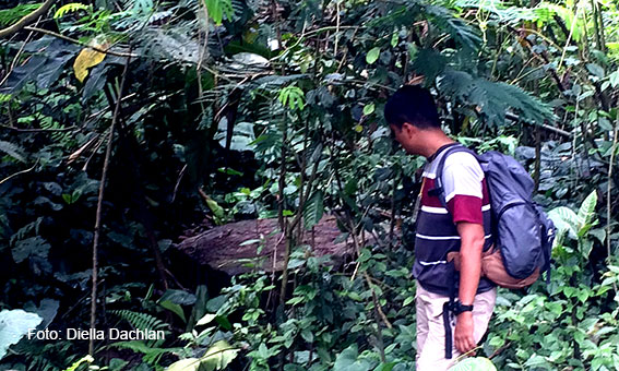 Batu datar sekitar 50 meter dari makam Eyang Prenggong Jaya