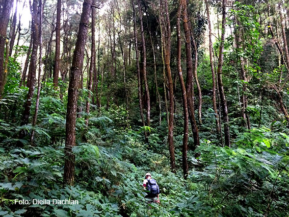 Rute menuju Curug Nangka