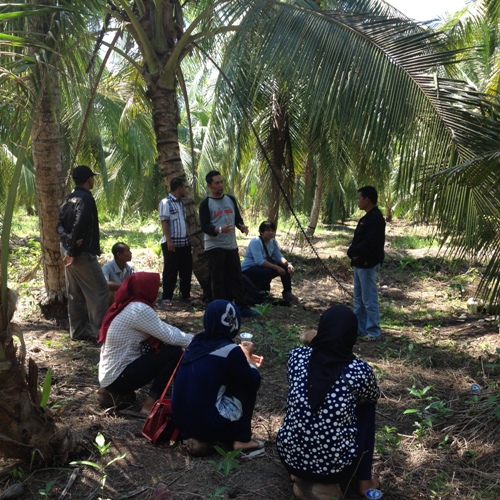 Pemateri menjelaskan tentang agroforestri di kebun kelapa. Foto dok. Yayasan Palung