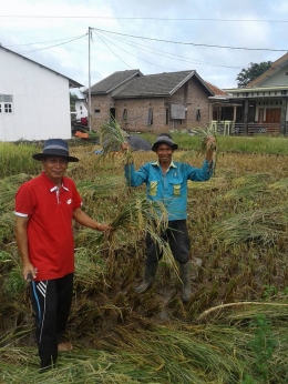 ini namanya MARO