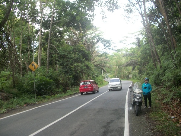 Berada Di Tengah Tahura Bukit Suharto I Sumber Dokumen Pribadi