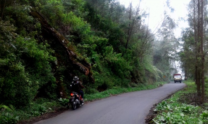 Awas ada pohong tumbang dari tebing!. Dokumentasi pribadi