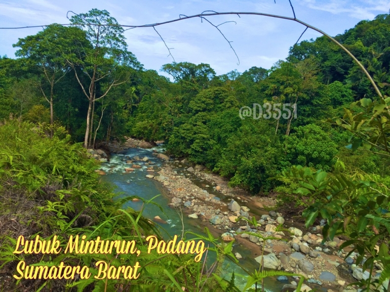 Sungguh kemanapun mata memandang, tetep yang kelihatan hutan. *yaiyalah | Dokumentasi Pribadi