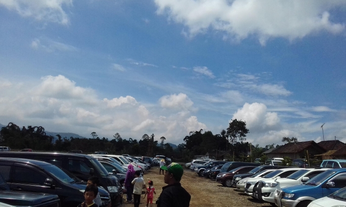 Hasil gambar untuk parkir mobil cafe sawah
