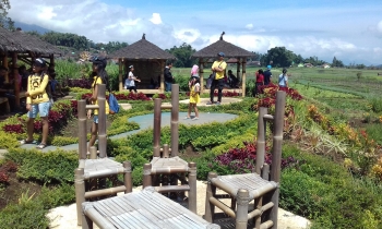 Merias Sawah Pujon Kidul Menjadi Surga Wisata Halaman All Merias Sawah Pujon Kidul Menjadi Surga Wisata Halaman All