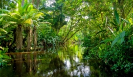 Sungai Amazon - geckosadventures.com