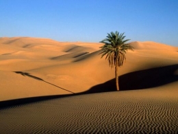 Gurun Sahara - foundtheworld.com