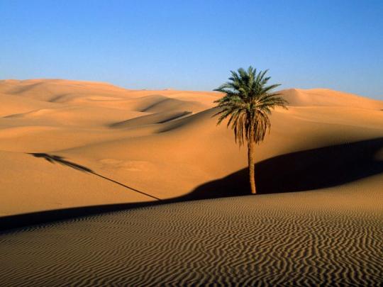 Gurun Sahara - foundtheworld.com