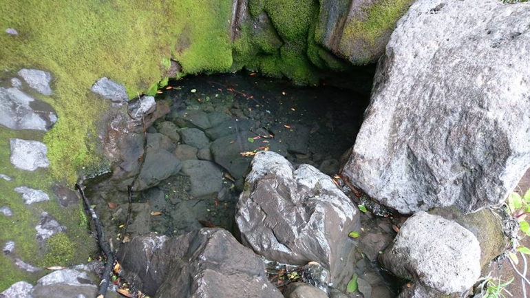 Sumber air terlezat di dunia di shelter 3 gunung Kerinci (dokpri)