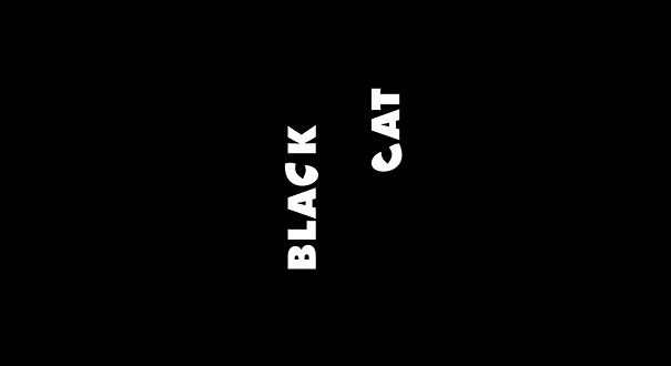 Mata Kucing dalam Black Cat (Hidden Message) - ilustrasi: boredpanda.com
