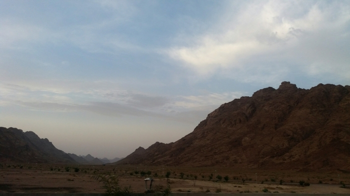 Cerita dari Holyland Bagian 1 Mesir Serunya Naik Unta Cerita dari Holyland Bagian 1 Mesir Serunya Naik Unta