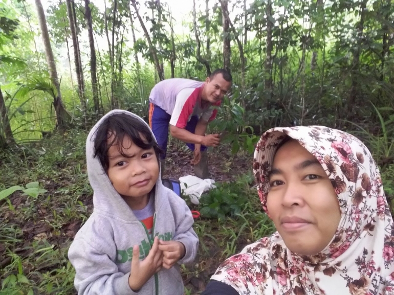 Tanam buah-buahan dicuri orang, sudah tanam pohon mahoni saja (Dok. Pribadi)