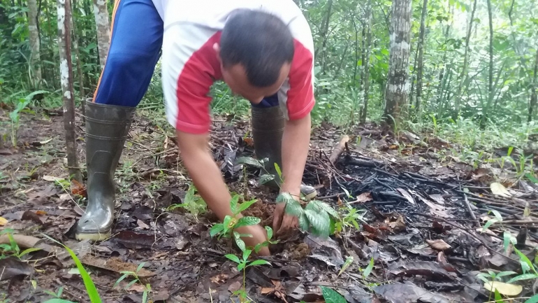 Menanam bukan untuk sendiri, tapi untuk bumi (Dok. Pribadi)