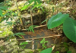 Sumur Emas yang konon berkhasiat sembuhkan penyakit (foto: dok pri)