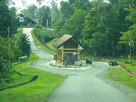 Kebun  Raya  Balikpapan Wisata Hijau di Tengah Kepenatan   Kebun  Raya  Balikpapan Wisata Hijau di Tengah Kepenatan