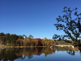 Air danau yang tenang dan kombinasi wrna warni pohon di musim gugur. Phto: Dok. Pribadi
