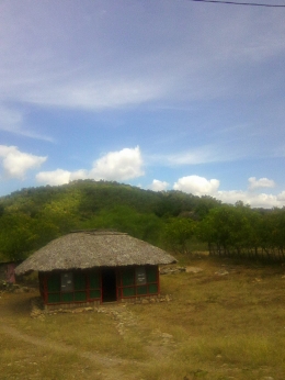 Salah satu rumah penduduk tampak damai di sepanjang Pantura(Foto:Dokpri)