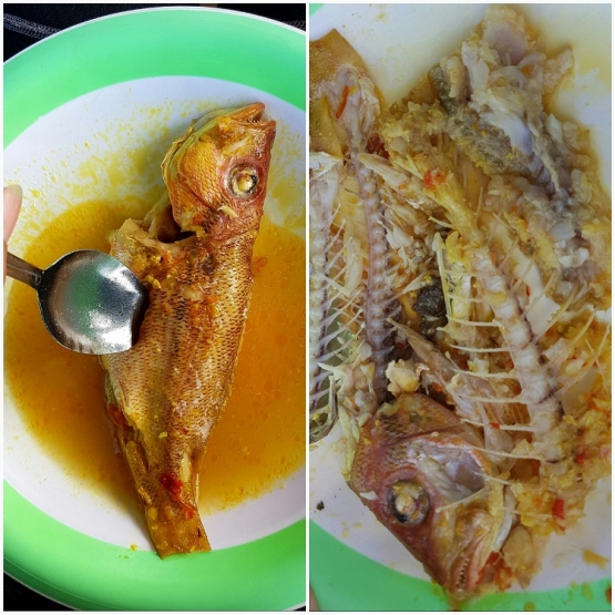 Dimulai dengan 1, diakhiri dengan banyak