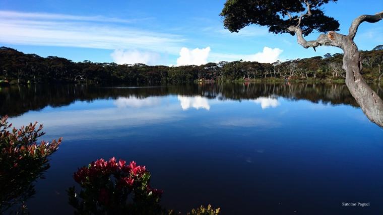 Beginilah panorma Telaga Dewi dibidik dari sisi Utara, hari Minggu (4/9/2016) pagi (dokpri)