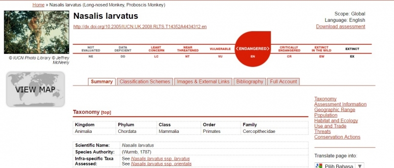 Status Bekantan dalam daftar IUCN. Data Capture via IUCN.