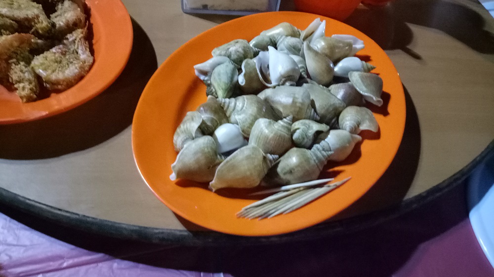 Gonggong yang asli.|Dokumentasi Pribadi