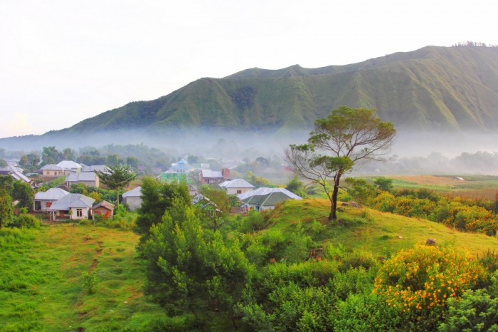 Pagi di Desa Sembalun lereng Gunung RInjani (dok.pri).