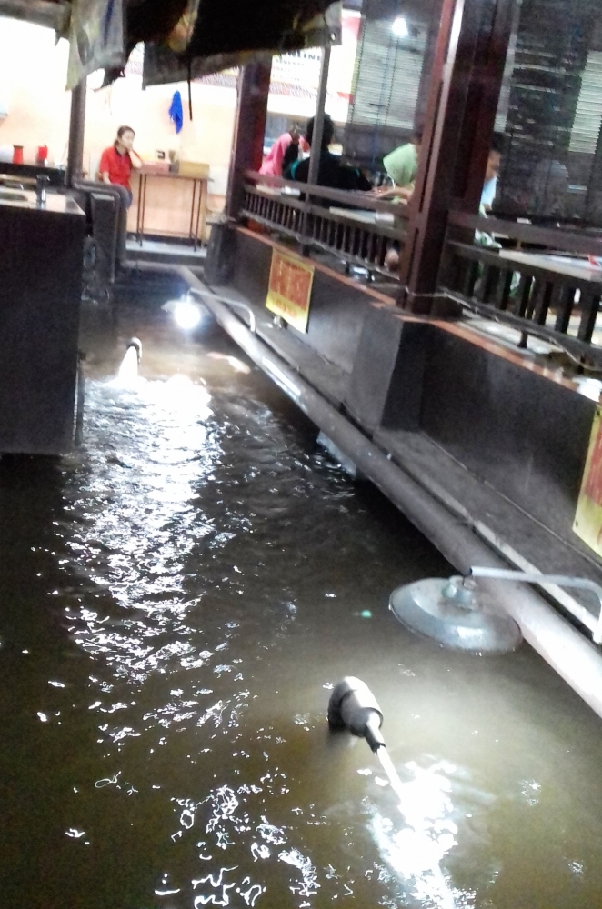 Warung Lesehan Jogja di Dekat Tama Krida Budaya, Malang/Dok. Pribadi