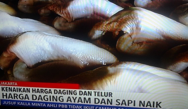 Berita di salah satu stasiun TV Swasta naiknya harga bahan pokok. Dokpri