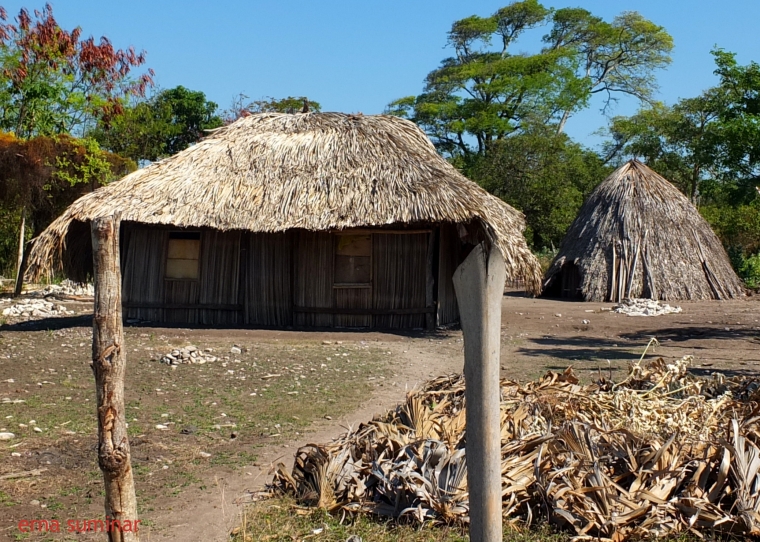 Dok. Pribadi : Rumah adat Timor