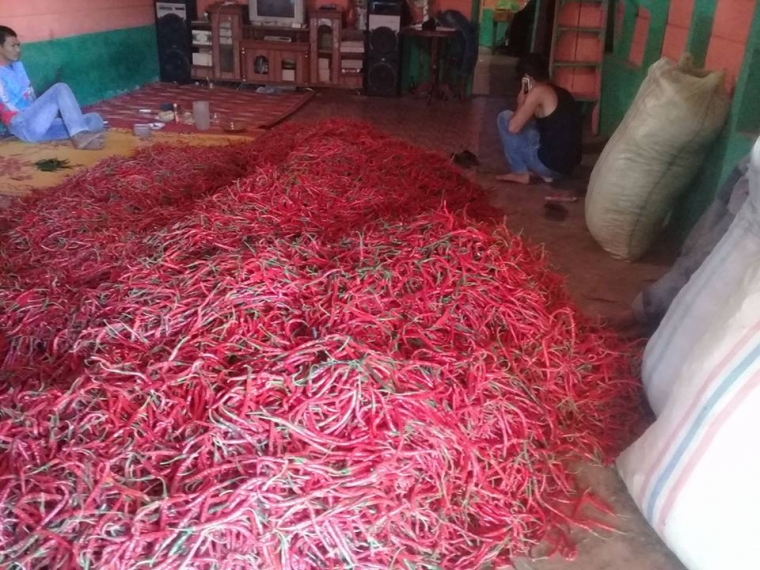 Dokumentasi Tauke Kampung Kute bukit