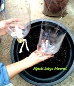Botol bagian atas setelah dipotong diberi sumbu. Foto Ngesti