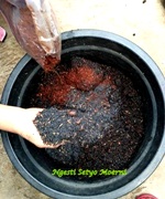 sekam bakar, cocopeat dan kompos, Foto Ngesti