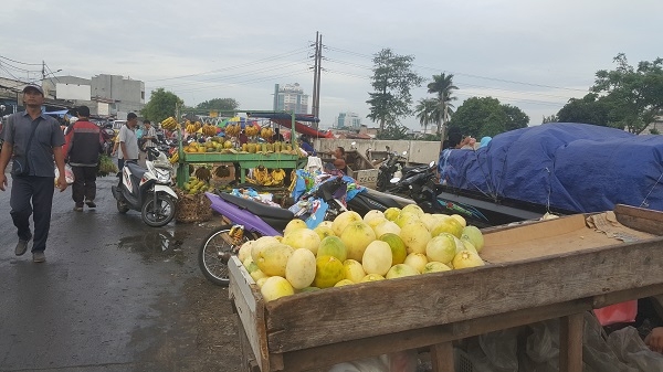 Pedagang Timun Suri (diambil pribadi)
