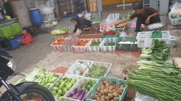 Sayuran segar (diambil pribadi)
