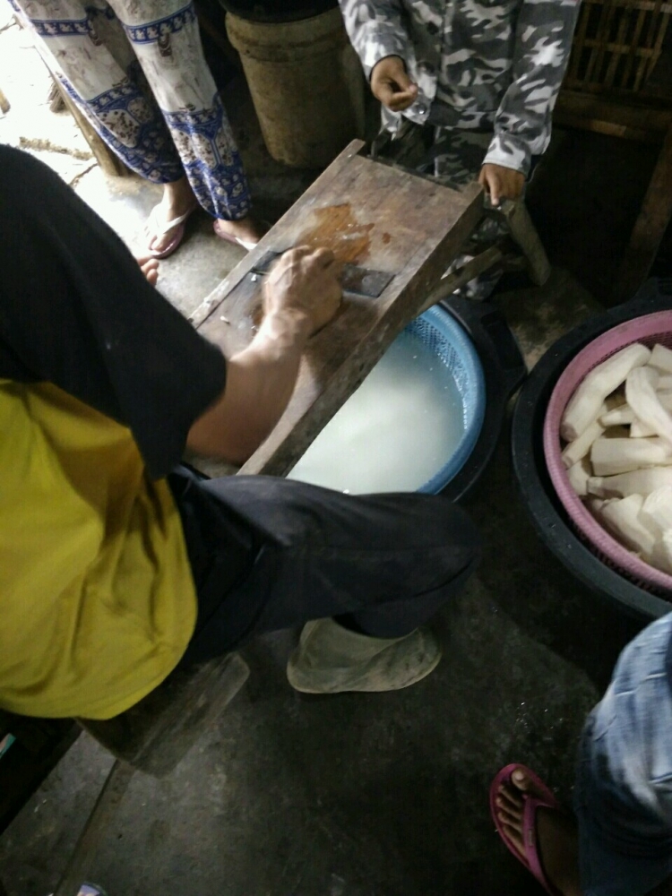 Proses Memotong Singkong