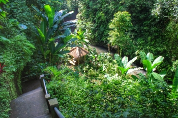 89 Gambar Air Terjun Untuk Pemula Paling Keren 89 Gambar Air Terjun Untuk Pemula Paling Keren