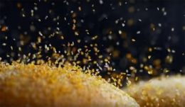 Hujan remah sweet corn menaburi permukaan Zuper Krunch (Image: Youtube KFC)