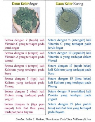 Ternyata Kegunaan Daun Kelor Untuk Kulit Wajah Ternyata Kegunaan Daun Kelor Untuk Kulit Wajah