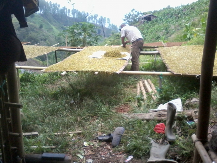 Petani sedang menjemur Tembakau/Dokumentasi Pribadi
