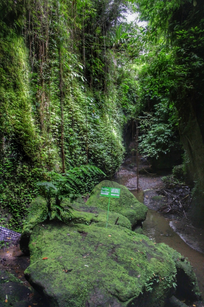 Lorong Lembah Sisi Kiri / dap