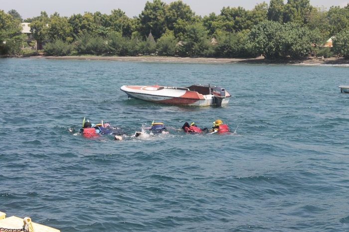 Snorkeling menjadi aktivitas menarik di Bangsring (dok : pribadi)