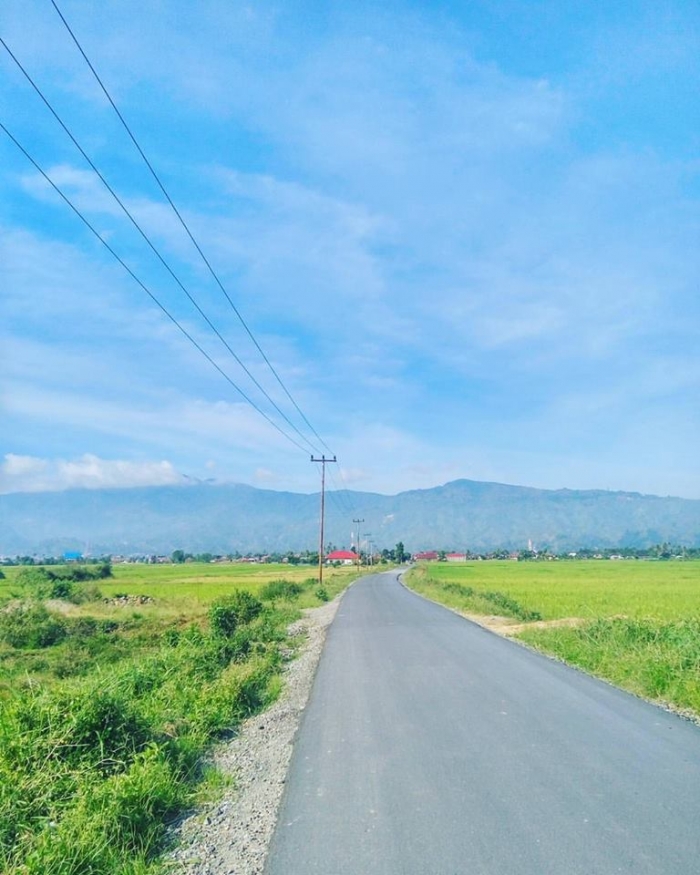 Suasana Jalanan yang dikelilingi hamparan sawah | Doc. Elviandri